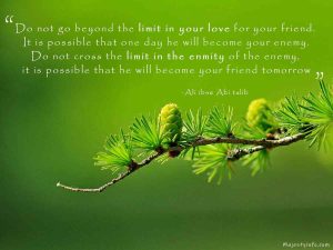 Do not go beyond the limit in your love for your friend. It is possible that one day he will become your enemy. Do not cross the limit in the enmity of the enemy, it is possible that he will become your friend tomorrow