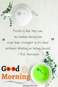 Truth is like the sun. No human being can ever look straight in its face without blinking or being dazed. – R.K. Narayan