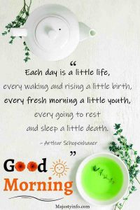 Each day is a little life, every waking and rising a little birth, every fresh morning a little youth, every going to rest and sleep a little death. – Arthur Schopenhauer