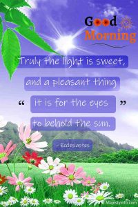 Truly the light is sweet, and a pleasant thing it is for the eyes to behold the sun. – Ecclesiastes