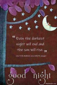 Even the darkest night will end and the sun will rise. -VICTOR MARIE VICOMETE HUGO