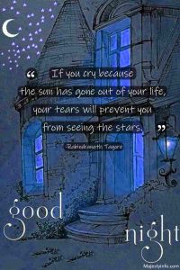 If you cry because the sun has gone out of your life, your tears will prevent you from seeing the stars. -Rabindranath Tagore