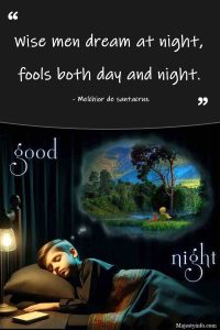 Wise men dream at night, fools both day and night. - Good Night quote by Melchior de santacruz