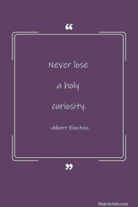 Never lose a holy curiosity baddie quote by Albert Einstein