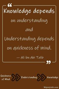 "Knowledge depends on understanding and understanding depends on quickness of mind." — Ali ibn Abi Talib