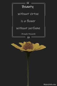 Beauty without virtue is a flower without perfume