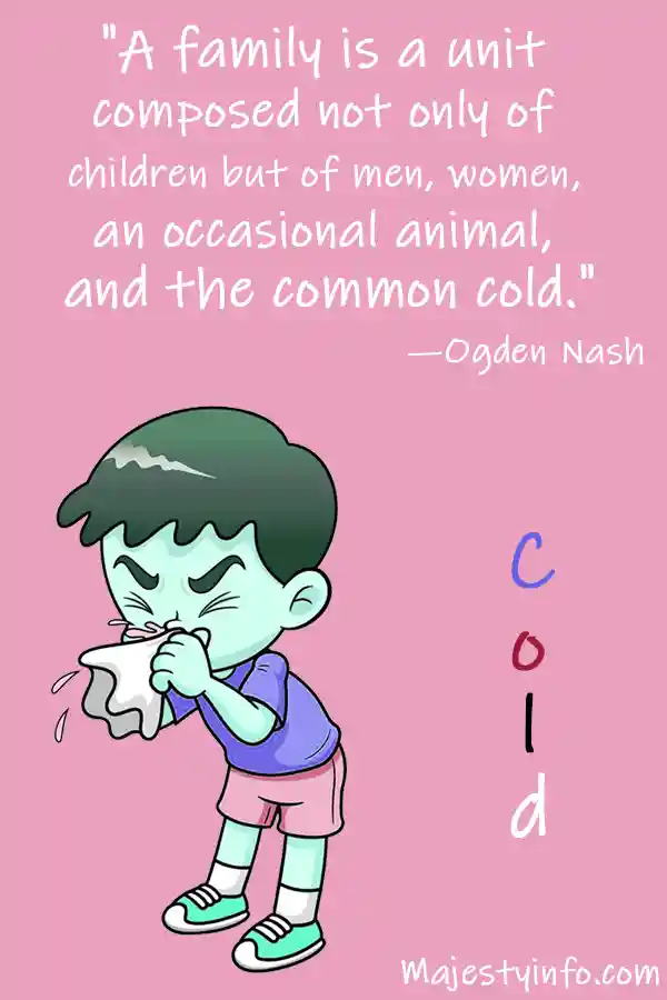 funny quote about Cold and flu