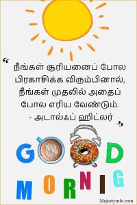 நீங்கள் சூரியனைப் போல பிரகாசிக்க விரும்பினால், நீங்கள் முதலில் அதைப் போல எரிய வேண்டும். - அடால்ஃப் ஹிட்லர்