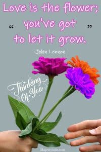 Love is the flower; you've got to let it grow. Thinking of you quote by John Lennon